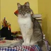 Отзыв от Майя Денисова